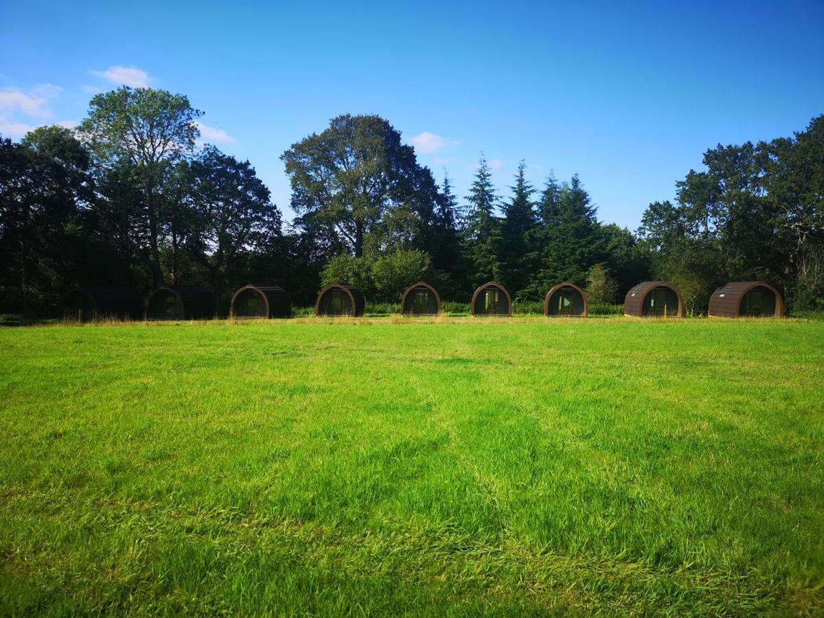 Missin' Link Glamping Campsite *