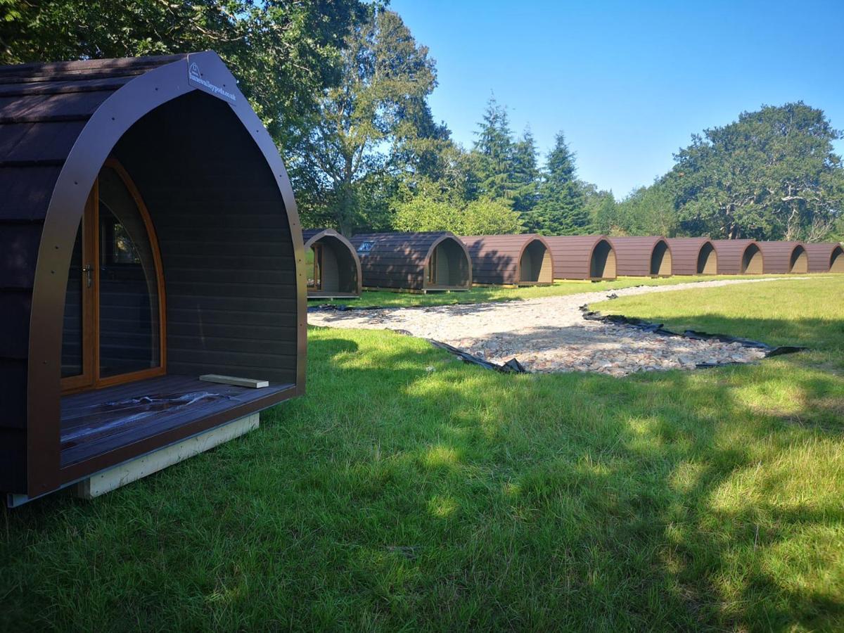 Campsite Missin' Link Glamping *